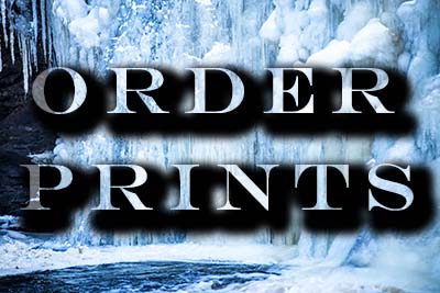 orderprints winter